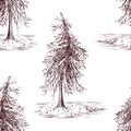 Sketched spruce pine tree sepia seamless pattern background Royalty Free Stock Photo