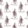 Sketched spruce pine tree sepia seamless pattern background Royalty Free Stock Photo