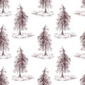 Sketched spruce pine tree sepia seamless pattern background