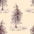 Sketched spruce pine tree sepia seamless pattern background