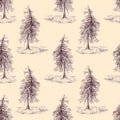 Sketched spruce pine tree sepia seamless pattern background Royalty Free Stock Photo
