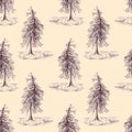 Sketched spruce pine tree sepia seamless pattern background