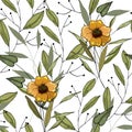 Sketched yellow sunflowers plants or herbs collection on white background. Romantic orange leave hand drawn seamless pattern,