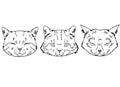 Sketches of cat heads in realistic style. Cats set, vector illustration, hand-drawn cute fluffy cats