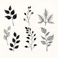 Sketches in contrast: illustrating the intricacy of monochromatic botanicals Royalty Free Stock Photo