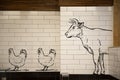 Sketches of a cow and chickens on a white tiled wall in a kitchen