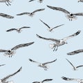 Sketches of the flying gulls Royalty Free Stock Photo