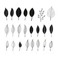 Sketches of simplicity: capturing monochromatic plant leafs