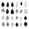 Sketches of simplicity: capturing monochromatic plant leafs