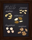 Sketches walnuts, almonds cashews peanuts hazelnuts