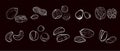 Sketches of white nuts on a dark background for packaging design, shop windows. Vector hand drawn labels for baking with nuts Royalty Free Stock Photo