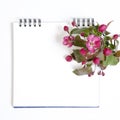 The sketchpad with flowers of an apple-tree of Nedzvetsky Malus niedzwetzkyana Dieck isolated on white background