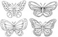 Sketchy Doodle Butterfly Vector