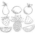 Sketchy Doodle Fruit Vector