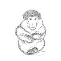 Sketchy Gorilla Vector Illustration Royalty Free Stock Photo