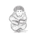 Sketchy Gorilla Vector Illustration Royalty Free Stock Photo