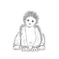 Sketchy Gorilla Vector Illustration Royalty Free Stock Photo