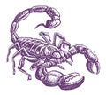 Scorpion isolated on white background. Sketchy illustration, tattoo