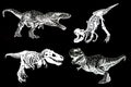 Graphical set of dinosaurs isolated on black background,vector illustration