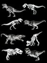 Graphical set of dinosaurs isolated on black background,vector illustration