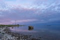 Evening sunlight on coast, pink clouds, blue sky reflection on water. Beach in summer. Seaside natural environment. Royalty Free Stock Photo