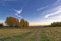 Skewed meadow against the backdrop of autumn forest. Royalty Free Stock Photo