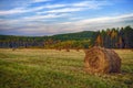 Skewed meadow against the backdrop of autumn forest Royalty Free Stock Photo