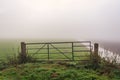 Skewed old iron gate in front of a foggy meadow