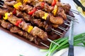 Skewer - big Plate with grilled,mixed meat and veg