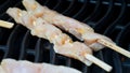 Skewer of chicken sate Royalty Free Stock Photo