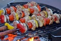 Skewer with meat and vegetables