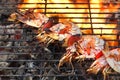 Skewered Big Shrimps On The Hot BBQ Grill