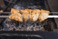 Skewered Meat Cooking Over Hot Grill Coals Royalty Free Stock Photo