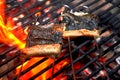 Skewered pieces of fresh Japanese marinated eel on the hot charcoal grill