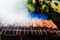 Skewers fried meat on a grill vietnam.