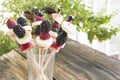 Skewers of Fruit in a Glass - Fruit Snack Royalty Free Stock Photo