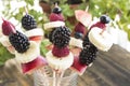 Skewers of Fruit in a Glass - Fruit Snack Royalty Free Stock Photo