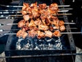 Skewers with meat are fried over the coals Royalty Free Stock Photo