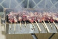 Skewers of meat on the grill