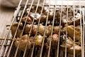 Skewers of meat and sausages cooked with the electric grill Italy, Europe Royalty Free Stock Photo