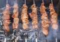 Skewers of meat with smoke is cooking on the coals
