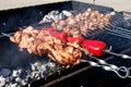 Skewers of meat and vegetables on the grill.