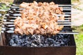 Skewers with pork shish kebabs on grill Royalty Free Stock Photo