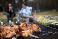 Skewers with roasted chiken meat on the hot grill closeup