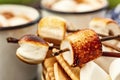 Skewers of roasted marshmallows