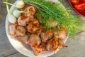 Skewers roasted over an open fire, lying on a plate with sliced tomato and parsley, selective focus. Royalty Free Stock Photo