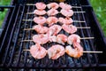 Skewers of shrimp langoustine on the grill