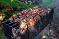 Skewers uncooked in nature on skewers in the open air. shashlyk