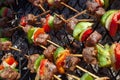 Skewers various meat