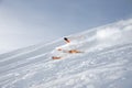 Ski athlete in a fresh snow powder rushes down the snow slope Royalty Free Stock Photo